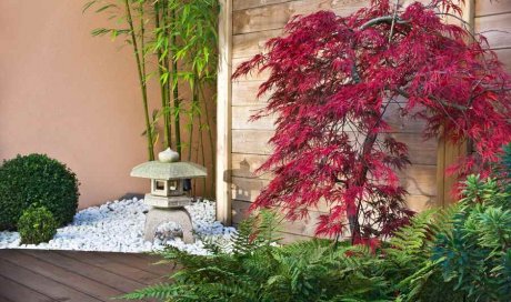 Entreprise pour la création d’un jardin zen japonais chez un particulier
